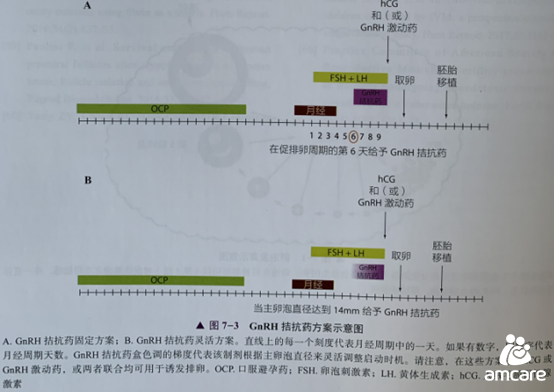 GnRH 拮抗药方案.png